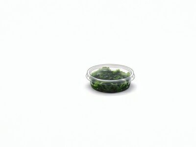 162. Wakame Salat (Seetang Salat)